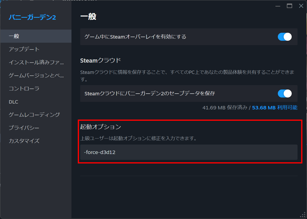 Steam の起動オプションに -force-d3d12 を追加した画面